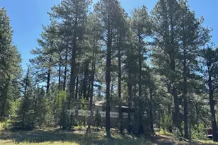 5577 Big Game Trail, Flagstaff, AZ 86005 - Photo 30