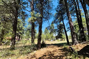 5577 Big Game Trail, Flagstaff, AZ 86005 - Photo 28