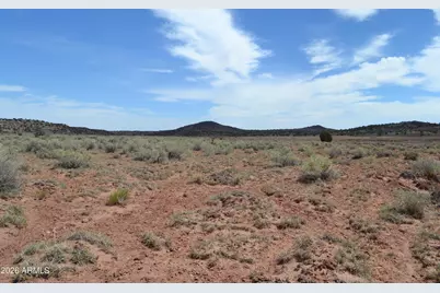 Lots 18,19 N8577 -- #18, Concho, AZ 85924 - Photo 6