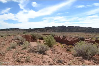 Lots 18,19 N8577 -- #18, Concho, AZ 85924 - Photo 1