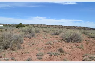 Lots 18,19 N8577 -- #18, Concho, AZ 85924 - Photo 8