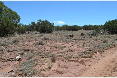 Tbd N8604 -- #1, Concho, AZ 85924 - Photo 2