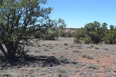 Tbd N8604 -- #1, Concho, AZ 85924 - Photo 8