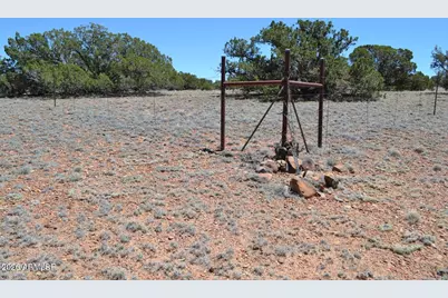 Tbd N8604 -- #1, Concho, AZ 85924 - Photo 4