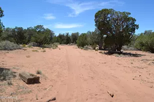 82 Co Rd 5020, Snowflake, AZ 85937 - Photo 32