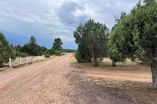 5326 April Pl, Pinedale, AZ 85934 - Photo 14
