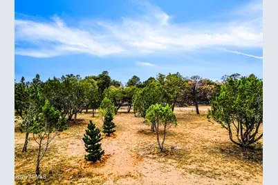 3071 Ponderosa Road, Overgaard, AZ 85933 - Photo 66