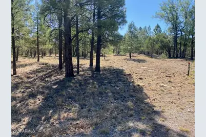 4214 Juniper Drive #46, Happy Jack, AZ 86024 - Photo 1