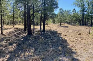4214 Juniper Dr, Happy Jack, AZ 86024 - Photo 1