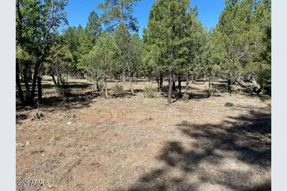 4214 Juniper Drive #46, Happy Jack, AZ 86024 - Photo 2
