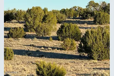 910 County Rd N6657 -- #-, Saint Johns, AZ 85936 - Photo 6