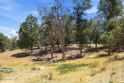 62 E Mars Lane, Payson, AZ 85541 - Photo 38