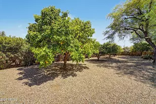 7801 E Charter Oak Rd, Scottsdale, AZ 85260 - Photo 66
