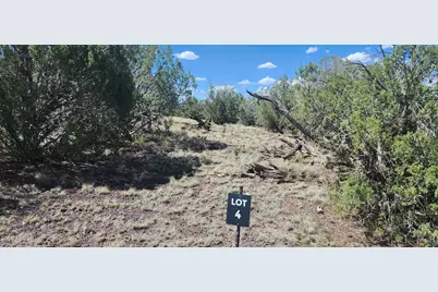 393 W Edgewood Drive #-, Williams, AZ 86046 - Photo 4