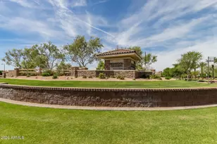 528 W Evergreen Pear Ave, San Tan Valley, AZ 85140 - Photo 52