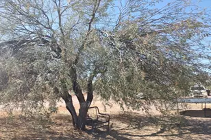 27419 N 204th Ave, Wittmann, AZ 85361 - Photo 20