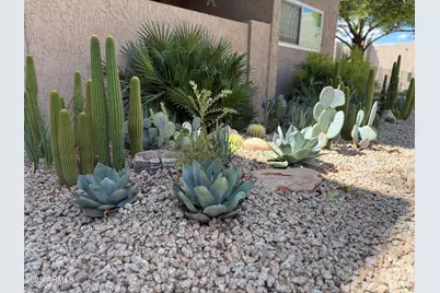 5525 E Thomas Road #M12, Phoenix, AZ 85018 - Photo 30