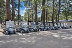 3973 N Tam O'Shanter Dr, Flagstaff, AZ 86004 - Photo 56