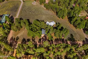 22 County Road 2082 --, Alpine, AZ 85920 - Photo 34