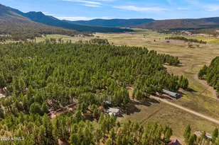 22 County Road 2082 --, Alpine, AZ 85920 - Photo 36