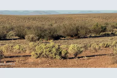 Lot 445 Carrizo Ranch -- #445, Saint Johns, AZ 85936 - Photo 12
