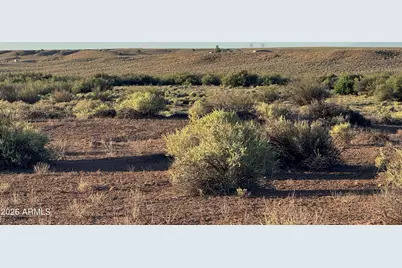 Lot 445 Carrizo Ranch -- #445, Saint Johns, AZ 85936 - Photo 8