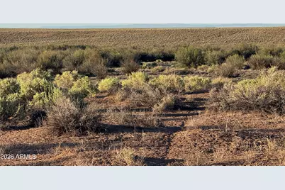 Lot 445 Carrizo Ranch -- #445, Saint Johns, AZ 85936 - Photo 10