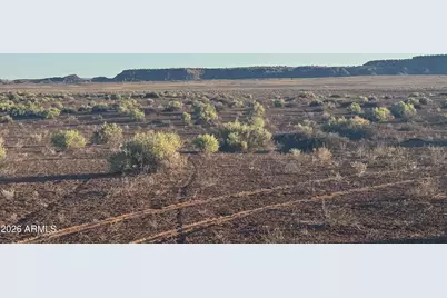 Lot 445 Carrizo Ranch -- #445, Saint Johns, AZ 85936 - Photo 2
