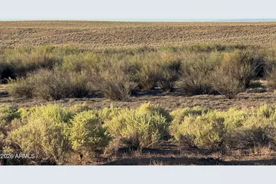 Lot 445 Carrizo Ranch -- #445, Saint Johns, AZ 85936 - Photo 14
