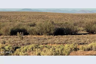 Lot 445 Carrizo Ranch -- #445, Saint Johns, AZ 85936 - Photo 16