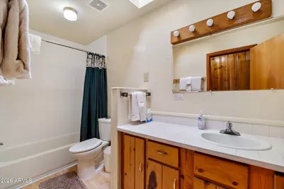 5 County Road #1000, Greer, AZ 85927 - Photo 20