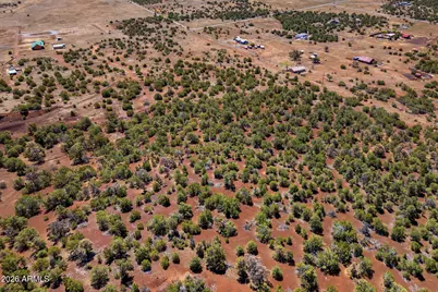 11 County Road N3557 -- #028P, Vernon, AZ 85940 - Photo 2