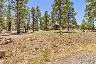 1939 E Bare Oak Loop #238, Flagstaff, AZ 86005 - Photo 8