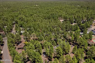 2860 Park Cir, Pinetop, AZ 85935 - Photo 28