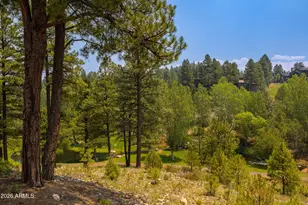 3385 S Tourmaline Dr, Flagstaff, AZ 86005 - Photo 54