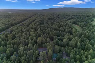 4251 Branding Iron Loop Loop, Pinetop, AZ 85935 - Photo 132