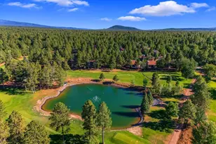4251 Branding Iron Loop Loop, Pinetop, AZ 85935 - Photo 114