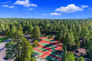 4251 Branding Iron Loop Loop, Pinetop, AZ 85935 - Photo 110