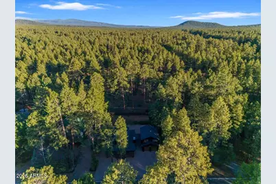 4251 Branding Iron Loop Loop, Pinetop, AZ 85935 - Photo 126