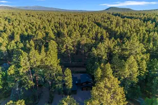 4251 Branding Iron Loop Loop, Pinetop, AZ 85935 - Photo 126