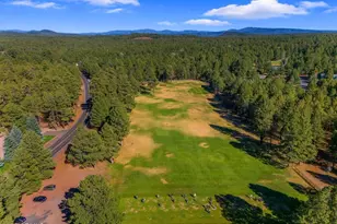 4251 Branding Iron Loop Loop, Pinetop, AZ 85935 - Photo 112