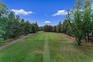 4251 Branding Iron Loop Loop, Pinetop, AZ 85935 - Photo 134