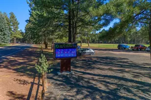 4251 Branding Iron Loop Loop, Pinetop, AZ 85935 - Photo 118