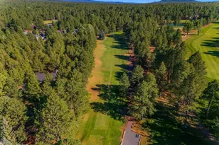 4251 Branding Iron Loop Loop, Pinetop, AZ 85935 - Photo 112