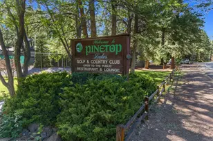 4251 Branding Iron Loop Loop, Pinetop, AZ 85935 - Photo 120