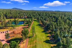4273 E Branding Iron Loop Loop, Pinetop, AZ 85935 - Photo 122