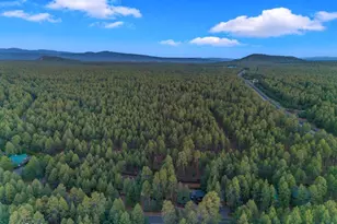 4273 E Branding Iron Loop Loop, Pinetop, AZ 85935 - Photo 130