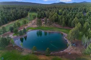 4273 E Branding Iron Loop Loop, Pinetop, AZ 85935 - Photo 134
