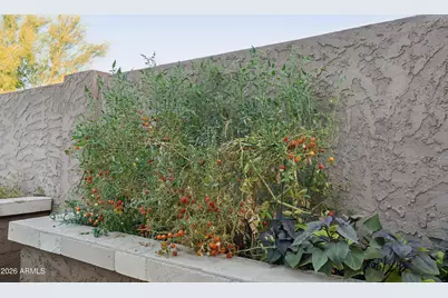 30923 N 25th Drive, Phoenix, AZ 85085 - Photo 34