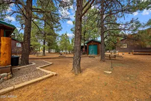2702 Palomino Trail, Overgaard, AZ 85933 - Photo 30